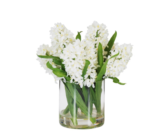 Hyacinth in Vase