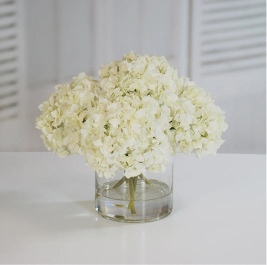 White Hydrangea in Vase