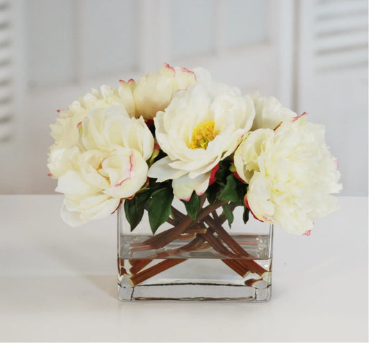 Peony in Square Vase