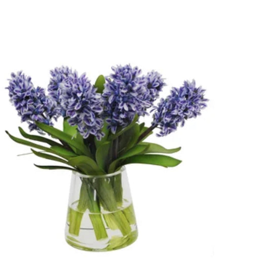 Blue Hyacinth in Vase