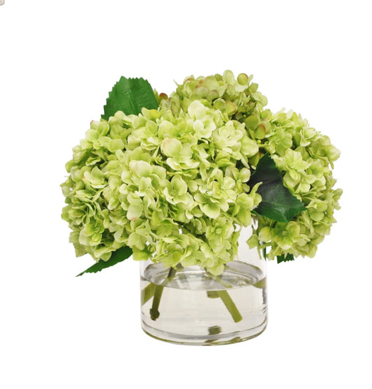 Hydrangea in Vase